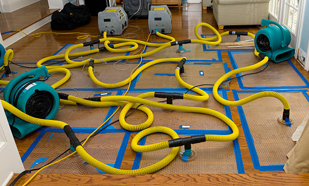 Professional Emergency Water Removal technician working in Meadow, TX
