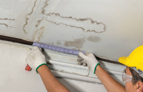 Affordable Water Damage Repair solutions in Meadow, TX